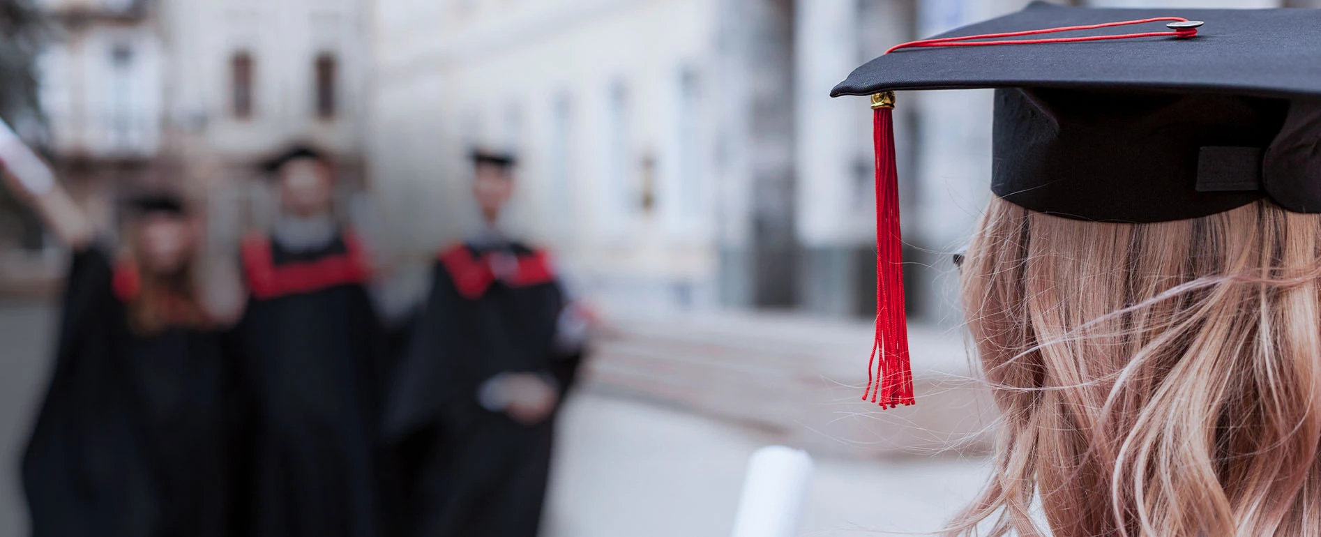 Harvest Main Banner3